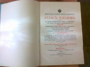 Атлас плодов. А.С.Гребницкого. 1906
