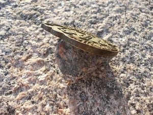 Санитарный попечитель