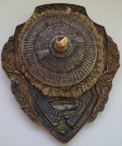 Отличник Санитарной Службы