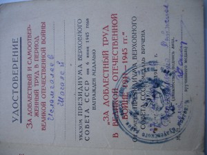 Трудовик плоский с Доком +