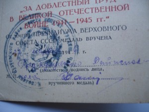 Трудовик плоский с Доком +