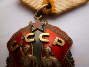 ЗП- 5 шт.