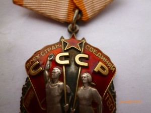 ЗП- 5 шт.