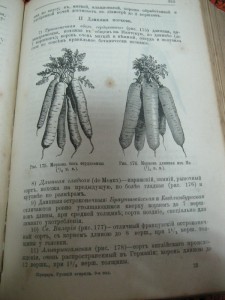Русский огород