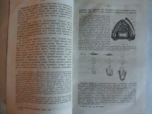 Руководство к изучению детских болезней. 1864г. Фогель.