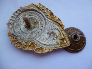 Отличник санитарной службы