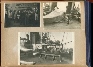 Альбом китобоя.1940 - 1949гг.