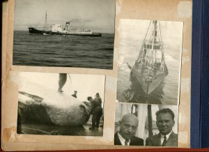 Альбом китобоя.1940 - 1949гг.
