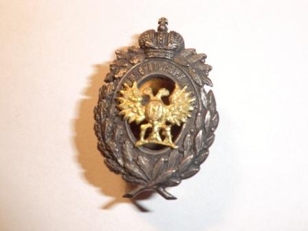 Фрачник серебро