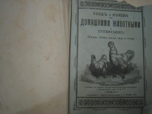 Уход и лечение за домашними животными и птицею.