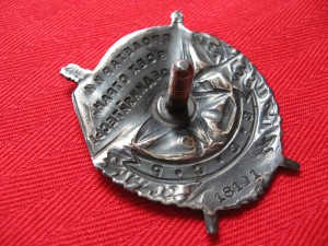 БКЗ "промокашка"