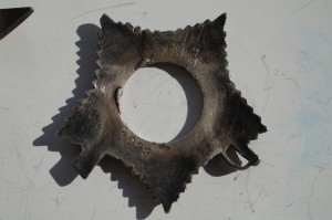 ОВ 2 ст 3098+КЗ пятка Донской фронт+КЗ МЗПП за бои в Берлине