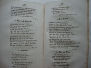 Руководство к изучению немецкого языка. 1858г. Одесса.