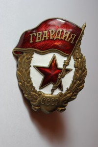 Гвардия (МТХ)
