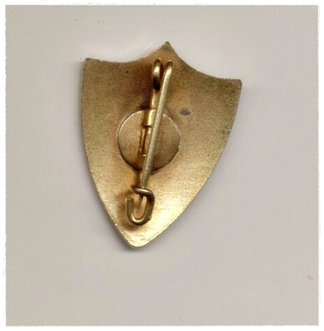 Членский знак Немецкое христианское движение