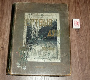 Н.В. Гоголь "Похождения Чичикова или мертвые души", 1901 г.
