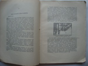 Благоустройство Городов. В.Семёнов. Изд-1912г-Москва