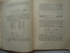 Благоустройство Городов. В.Семёнов. Изд-1912г-Москва