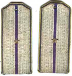 = Погоны прапорщика: от батюшки-царя до армии УНР 1917-1918=