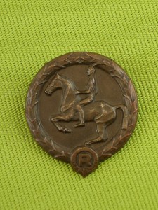 Знак детского наездника.