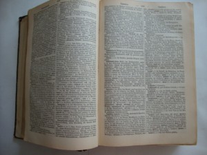 Павловский-Русско-Немецкий Словарь-изд-1900г