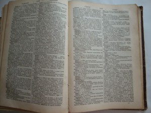 Павловский-Русско-Немецкий Словарь-изд-1900г
