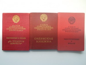 ТО (треуголка) №24260+ТД №44315 + доки ++ на одного в люксе!