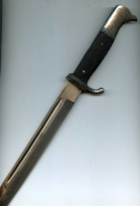 Парадник Акулий Зуб, длинный.