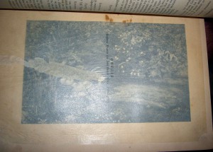 Шекспир, 5т, 1903
