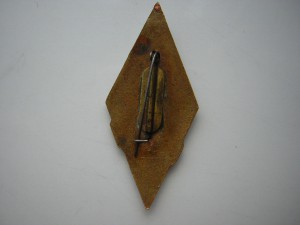 Витебский государственный медицинский институт( ВГМИ)