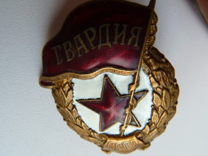 ГВАРДИЯ МТХ