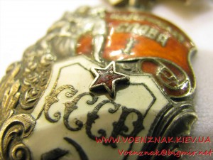 Орден "Материнская слава" 1й степени, колодка с контррельефо