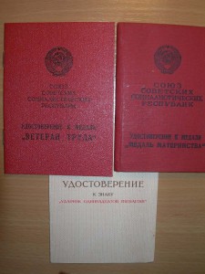 "медаль материнства"