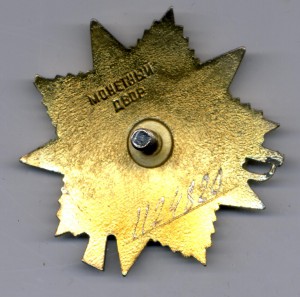 ОВ 1 ст юбилейная на отважную санинструктора