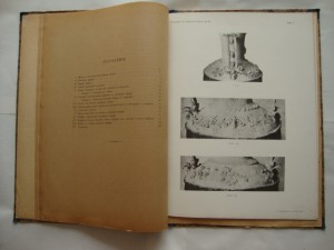 Ольвийская полихромная амфора 1901 года. Тревер. 1918г.