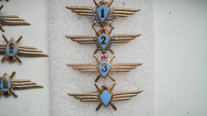 Знаки классности летчика и штурмана.