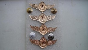 Классноть- Мастер,1, 2, 3 Степени.