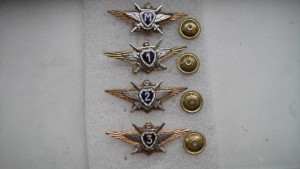 Знаки классности морской авиации.