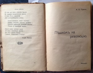 Революция в Петрограде 1917г.первое издание А.Грина.
