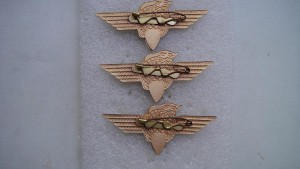 Классноть- Мастер,1, 2, 3 Степени.