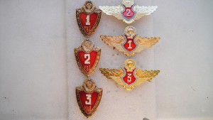 Знаки классности МВД.