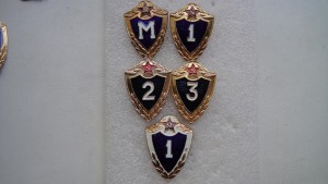 Военный специалист- знаки классности.