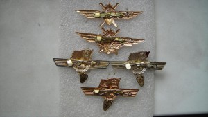 Первый и третий класс летчика и выслуга -три рода войск.