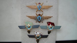 Первый и третий класс летчика и выслуга -три рода войск.