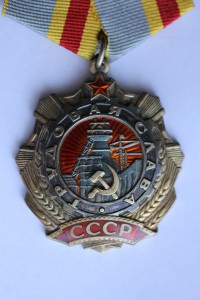Трудовая Слава 1 ст. (переделка из 3-ей)