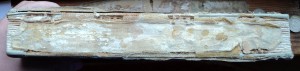 Отечественная Война 1812-1912  том 4.