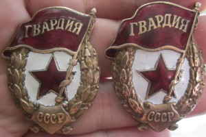 Гвардия (боевая) 2шт.