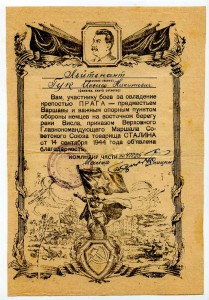 Восемь БВГ на офицера