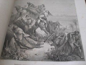 Библия в картинках,Вольф