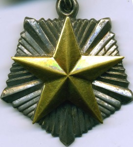 Мать-героиня № 53ххх